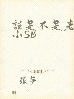 说是不是老公的小SB