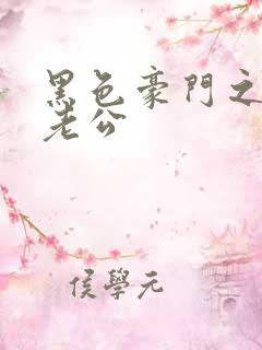 黑色豪门之王子老公