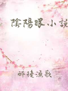 阴阳眼小说