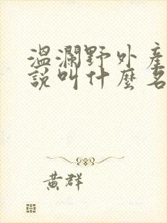 温澜野外产子小说叫什么名字