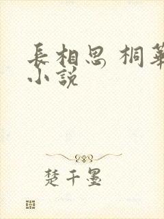长相思 桐华 小说