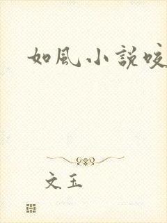 如风小说咬春饼