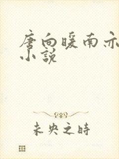 唐向暖南亦琛的小说