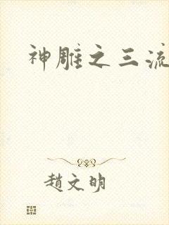 神雕之三流