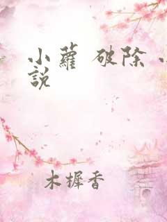 小萝 破除 小说