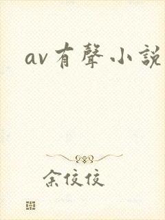 av有声小说