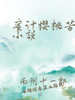 蜜汁樱桃苦咖啡小说