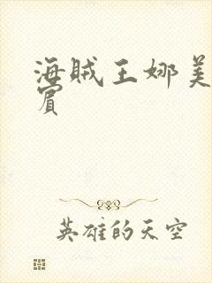 海贼王娜美h罗宾