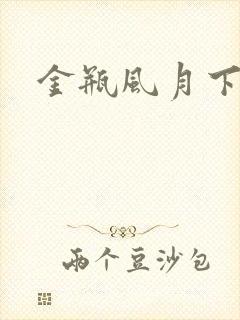 金瓶风月下载