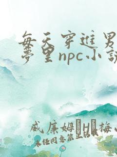 每天穿进男神的梦里npc小说txt