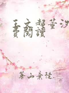 王文超董汐瑜免费阅读