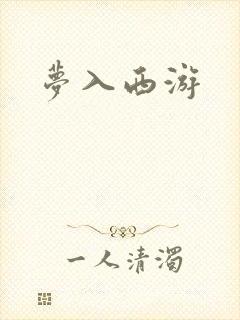 梦入西游