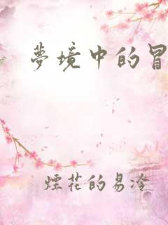 梦境中的冒险家