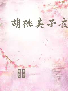 胡桃夹子夜未眠