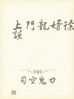 上门龙婿徐阳小说