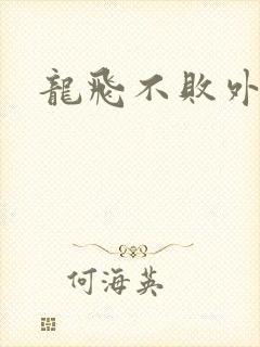龙飞不败外传