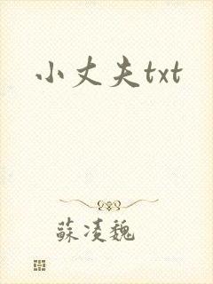 小丈夫txt