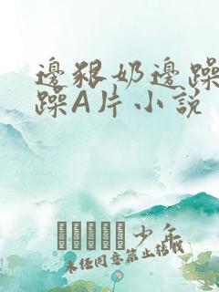 边啃奶边躁狠狠躁A片小说