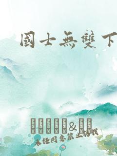 国士无双下载