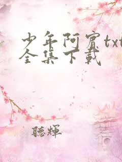 少年阿宾txt全集下载