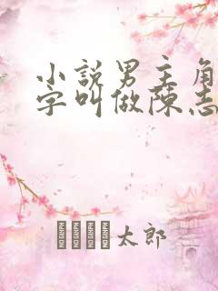 小说男主角的名字叫做陈志远