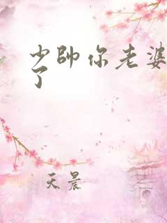 少帅你老婆又跑了