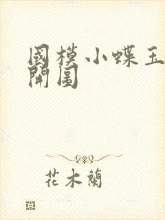 国模小蝶玉门大开图