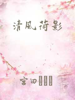 清风荷影