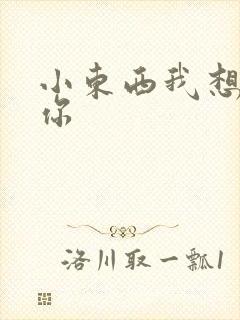 小东西我想弄坏你