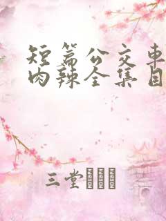 短篇公交车高h肉辣全集目录