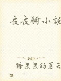 夜夜骑小说