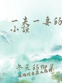 一夫一妻的玄幻小说