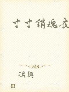 寸寸销魂夜春光