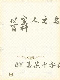 以家人之名百度百科