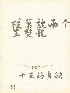 校草被两个体育生双龙