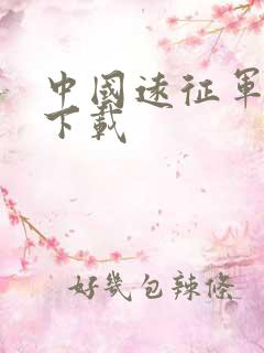 中国远征军全集下载