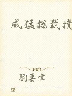 威猛总裁扑娇妻