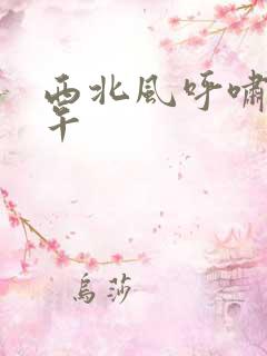 西北风呼啸的中午