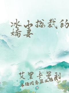 冰山总裁的掠爱娇妻