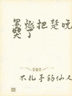 墨燃把楚晚宁C哭了