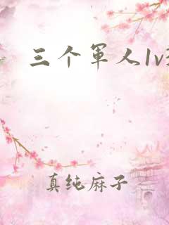 三个军人1v3