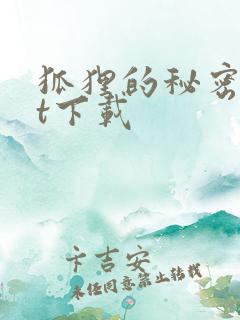 狐狸的秘密txt下载