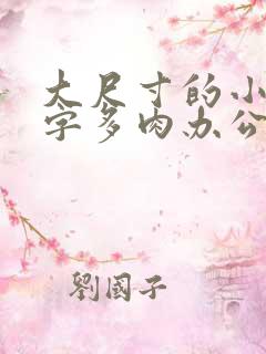 大尺寸的小黄说字多肉办公室作文