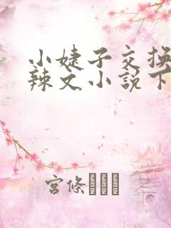 小婕子交换系列辣文小说下载