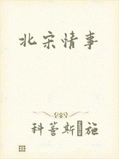 北宋情事