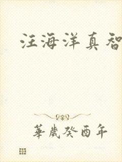 汪海洋真智师太