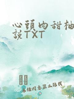 心头肉甜柚子小说TXT