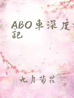ABO车深度标记