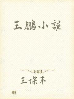 王鹏小说