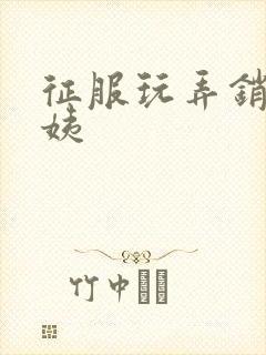 征服玩弄销魂阿姨